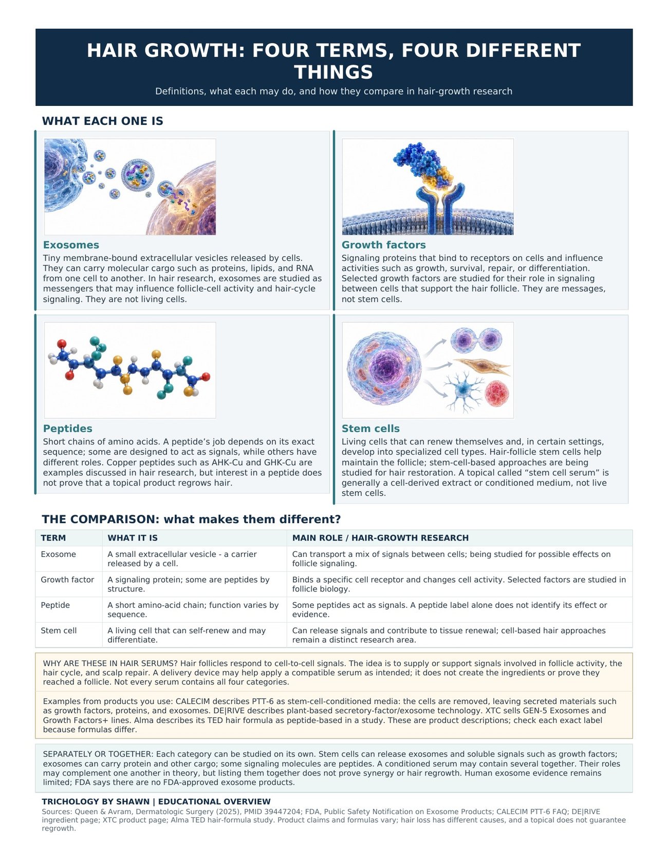Educational chart comparing exosomes, growth factors, peptides and stem cells: what each one is, how they compare, and why they appear in hair serums